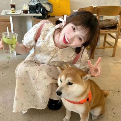 盲女与狐狸